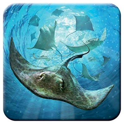Image of 3D LiveLife Cork Coaster Sting Rays from Deluxebase. Lenticular Ocean Coaster. Non slip drinks mat with original artwork licensed renowned artist, Jerry LoFaro