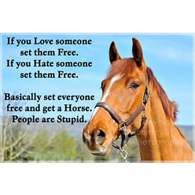 Image of Horse Pony Equestrian Funny Fridge Magnet Gift