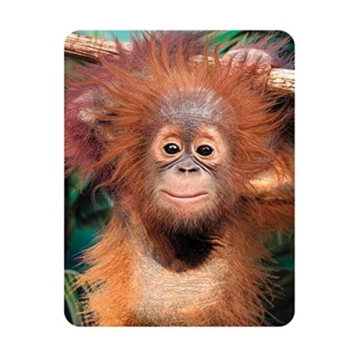 Image of 3D LiveLife Magnet Baby Orangutan from Deluxebase. Lenticular Monkey Fridge Magnet. Magnetic decor for kids and adults with artwork licensed renowned artist, David Penfound