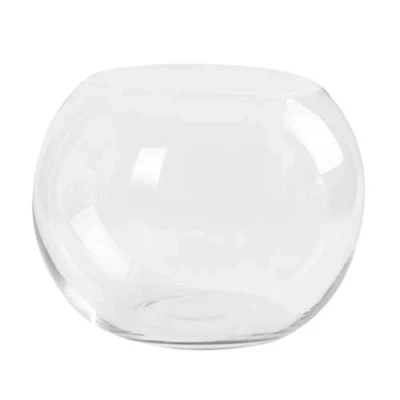 Image of HEMOTON Clear Glass Vase Bubble Fish Bowl Hydroponics Plant Holder Transparent Flower Desktop Tank Ornament for Home Office Hotel Wedding Decoration (15CM)