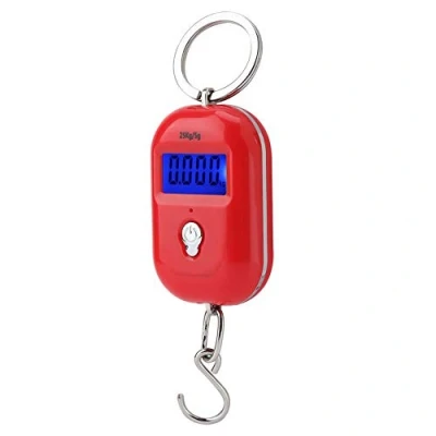Image of TOPINCN Electronic Digital Scales Portable Mini Pocket Key Chain Kitchen Food Weight Display Measuring Tools Hooks 25Kg/5G