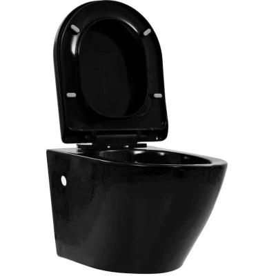 Image of vidaXL Wall Hung Rimless Toilet Ceramic Black