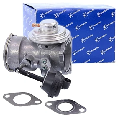 Image of 038131501AA EGR Valve PIERBURG 7.24809.20.0 Pneumatic Diaphragm with seal VOLKSWAGEN: Passat B5 GP Estate, Saloon, Transporter 5