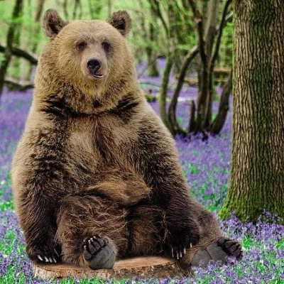 Image of Ani&#039;mates 3D Holographic Card Bear