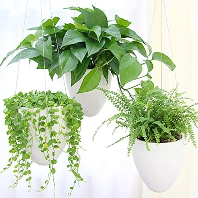 Image of LOYUYU 3 Pack Self Watering Hanging Planter, Succulent Flower Pot Air Plant Holder, Unique Eggshell Pots, Home Garden Office Indoor Decorative Container Matte White
