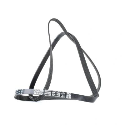 Image of 5x1750 V ribbed belt DAYCO 5PK1750 1750,0mm 5 RENAULT: CLIO 2, Kangoo I, MEGANE 1 Cabriolet, MERCEDES BENZ: A Class