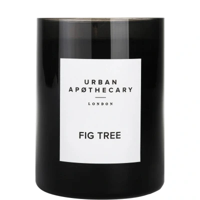 Image of Urban Apothecary Fig Tree Luxury Candle 300g