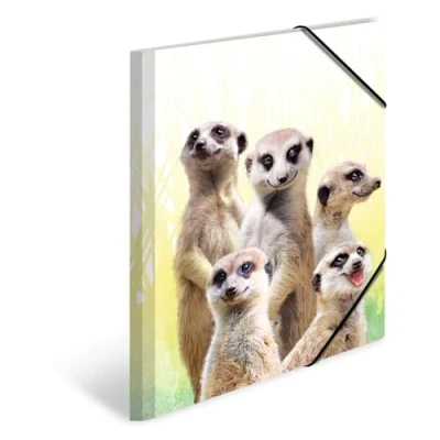 Image of HERMA 19961 Portfolio Folders A4 Exotic Animals Meerkat Troop, Pack of 3, Children&#039;s Plastic Corner Folder with Inner Print and Elastic Band, Sturdy Set for Boys Girls