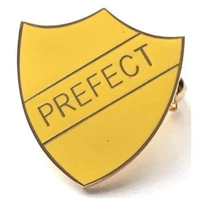 Image of School Prefect Large Brooch Style Yellow Enamel Lapel Pin Badge