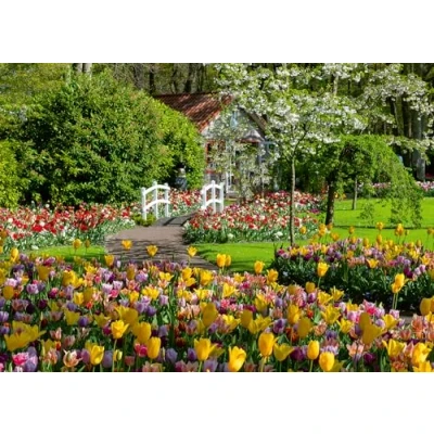 Image of Ravensburger Beautiful Gardens Netherlands 1000 Piece Jigsaw Puzzles for Adults and Kids Age 12 Years Up