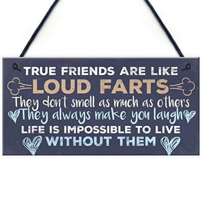Image of RED OCEAN Funny Best Friend Friendship Plaques Shabby Chic Cute Thank You Birthday Gifts For Her Him