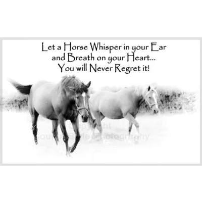 Image of Horse Pony Equestrian Fridge Magnet for Lover of Horses