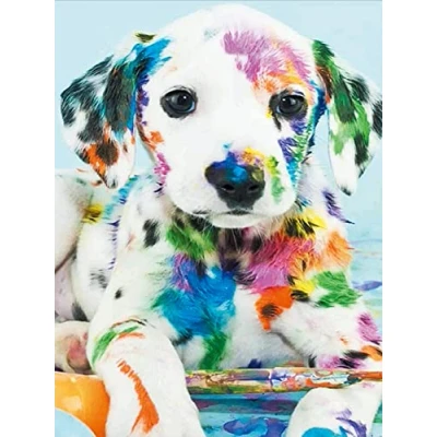 Image of OWN4B Cross Stitch Kits Stamped, Colorful Dog Printed Pattern 11CT 14.2x18.1 inch DIY Embroidery Kit (Dog)