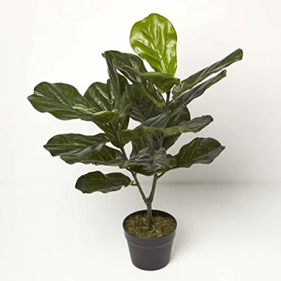 Image of HOMESCAPES Artificial Fiddle Leaf Tree 75 cm Tall with Wood Effect Trunk Faux Ficus Fig in Black Pot for Indoor Decoration