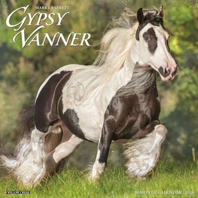 Image of Gypsy Vanner Horse Calendar 2026