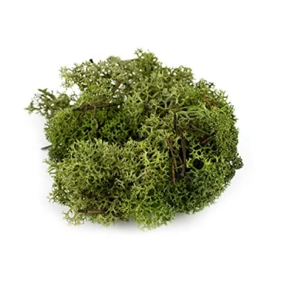 Image of War World Scenics Lichen Dark Green Moss Model Foliage 100g Railway Wargame Scenery Landscape Modelling Trees Bushes Hedges Diorama Basing Material