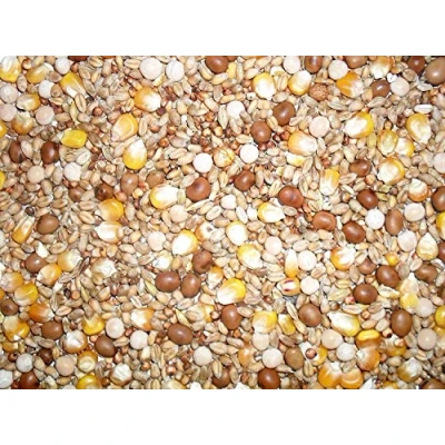 Image of Johnston &amp; Jeff Four Seasons General Economy Pigeon Seed Mix, 20 kg (Pack of 1)