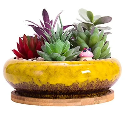 Image of ARTKETTY Succulent Plant Pot, 18.5CM Large Bonsai Pot with Tray Ceramic Drainage Hole Shallow Cactus Flower Pots for Indoor/Outdoor Plants Glazed Planter Bowl, Yellow