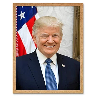 Image of Artery8 Craighead Portrait US President Donald Trump Photo Art Print Framed Poster Wall Decor 12x16 inch
