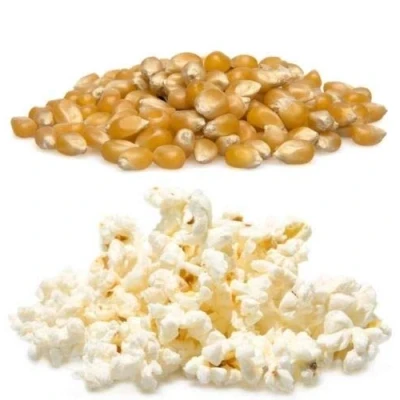 Image of Popcorn KERNELS Popping Corn Seeds Whole (100G)