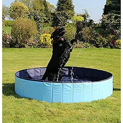 Image of Rosewood Cool Down Dog Pool, 160 x 30 cm, Large