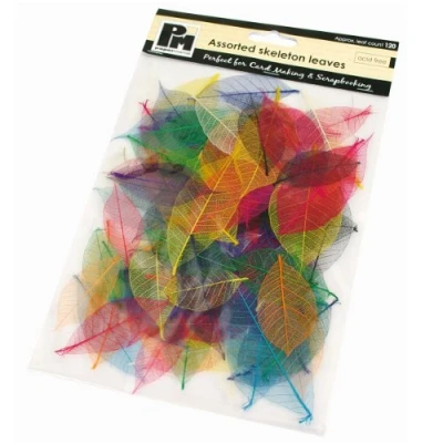 Image of Docrafts Skeleton Leaves, Assorted (Pack of 120)