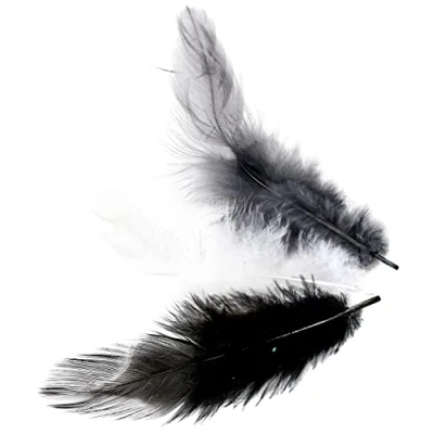 Image of GLOREX Deco Feathers, Multi Colour, 20.5 x 8.5 0.3 cm