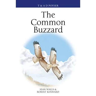 Image of The Common Buzzard (Poyser Monographs)