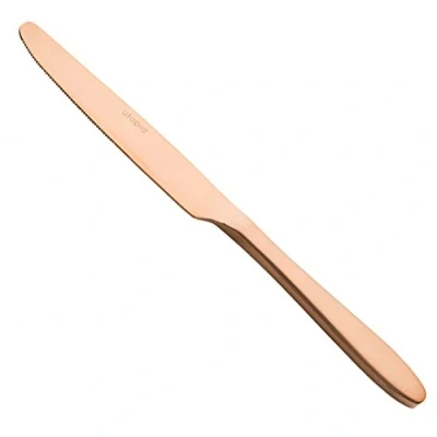 Image of Utopia Rio 18/10 F10690 000000 B01012 Table Knife (Box of 12)