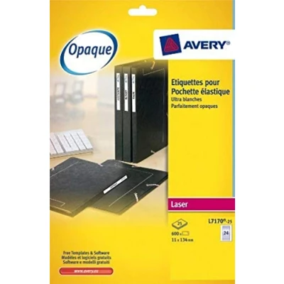 Image of Avery L7170 25 Filing Labels 134x11mm (600 Labels)