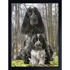 Image of COCKER SPANIEL BLUE ROAN 3D FRIDGE MAGNET