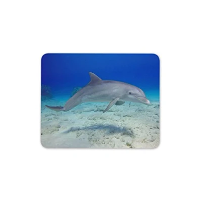 Image of Underwater Dolphin Mouse Pad Mat Diving Dive Computer PC #8101