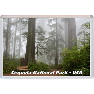 Image of Sequoia National Park California USA Jumbo Fridge Magnet/Magnets BBSM2276