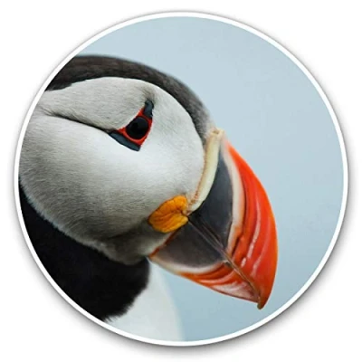 Image of 2 x Heart Stickers 10 cm Cute Puffin Bird Sea Birds Wild Fun Decals for Laptops,Tablets,Luggage,Scrap Booking,Fridges #24071