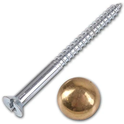 Image of 10x Brass Domed Cap Mirror Screws 8mm x 2&quot;
