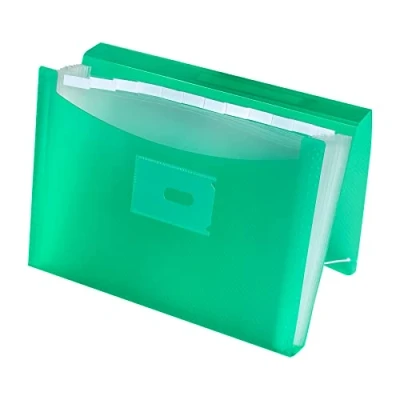 Image of Oxford, Accordion Folder A4+, Translucent Plastic Cover, 13 Pockets, Green