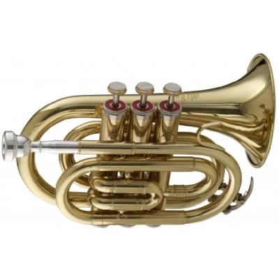 Image of Stagg WS TR245 Bb Pocket Trumpet with Case 6.00 x 3.00 8.00 inches