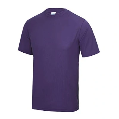Image of Just Cool Mens Performance Plain T Shirt (M) (Purple)