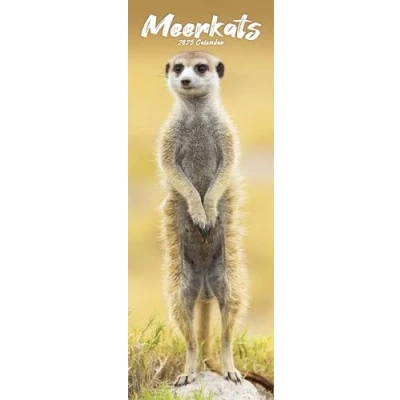 Image of Meerkats Slim 2025 Slimline Wall Calendar Animal, Wildlife Calendar: Original Avonside Kalender [Mehrsprachig] [Kalender]