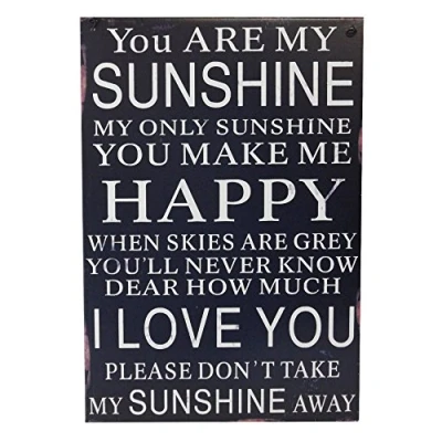 Image of Carousel Home Slogan Metal Signs You Are My Sunshine 30X20 Tin Wall Sign