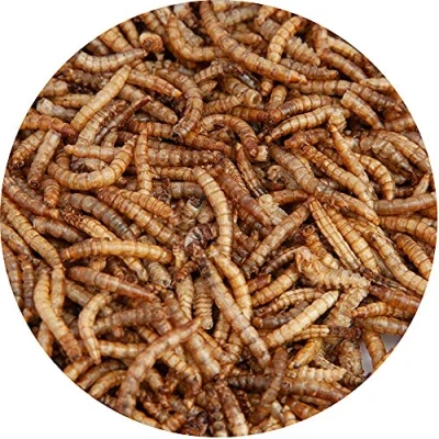 Image of Walter’s Meal Worms (5L) Dried Mealworms for Wild Birds, Bird Food in Stay Fresh, Refill Bags