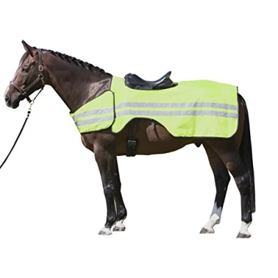 Image of Harry&#039;s Horse Exercise Sheet S Quarter 32207000 Reflective,