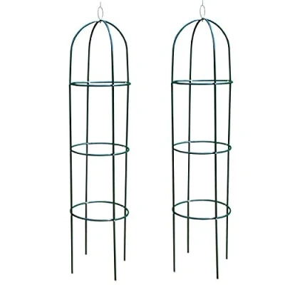 Image of Selections Pack of 2 Garden Obelisks