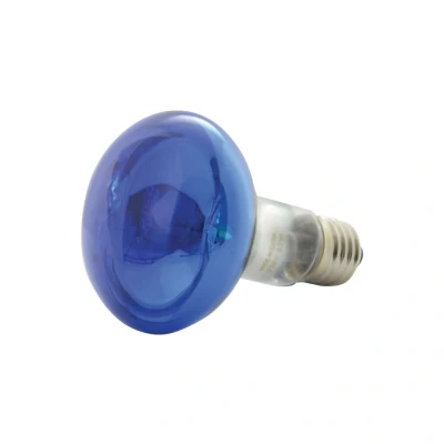 Image of QXT R80 Coloured Reflector Lamps Blue