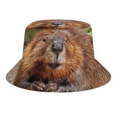Image of JopaJre Cute Funny Beaver Bucket Hat for Women Men Sun Cap Fisherman Packable Beach Caps Travel Outdoor