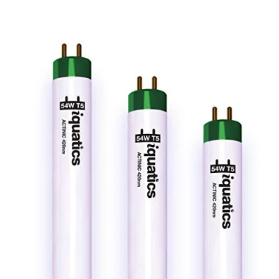 Image of iQuatics Juwel Compatible Aquarium Fluorescent Light Bulb T5 (3 Pack), Actinic, 54w 1200mm 48