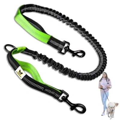 Image of Bungee for jogging leash, extension dog leash