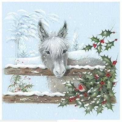 Image of Charity Christmas Cards Little Donkey &amp; Robin Pack of 6 Sold in Aid Marie Curie, Alzheimer&#039;s Society, MS Trust, Shelter, Parkinson&#039;s UK Oxfam