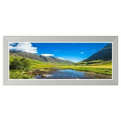 Image of Modern Picture Photo Frame Acrylic Glass Wood Poster Silver 100cm x 50cm Wall Mounted Frames