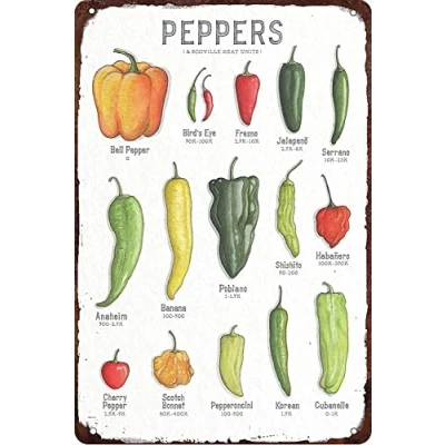 Image of Bioprocess Pepper Knowledge Peppers &amp; Scoville Heat Units Posters Plaque Science Guide Room Club Kitchen Wall Decores Decor Poster Metal Sign 8X12 Inches